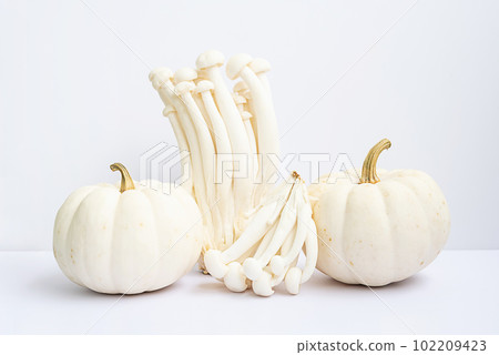Monochromatic still life of vegetables. Little pumpkin and beech mushrooms on white. Monochromatic still life of vegetables. Little pumpkin and beech mushrooms on white. 102209423