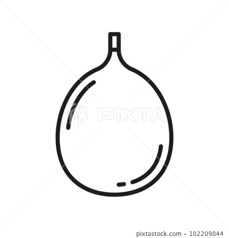 Fig whole cut fruit isolated exotic food berry line icon. Vector Thai food dessert, ripe summer cluster or sycamore fig, sweet snack 102209844