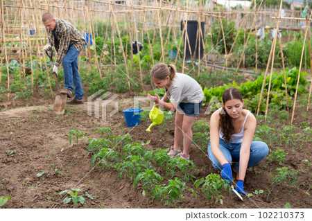 Daughter helps mom to water plants from a watering can in farm field Daughter helps mom to water plants from a watering can in farm field 102210373