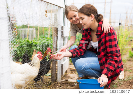 Young woman with little girl feeding poultry Young woman with little girl feeding poultry 102210647