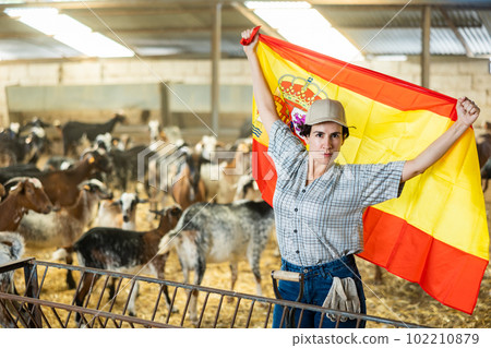 Young Latin female traveler waving Spanish flag inside of livestock goat farmhouse 102210879