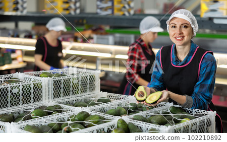 Smiling female worker in fruit sorting warehouse holding sliced avocado 102210892