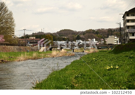 Nakatsugawa in spring 102212450