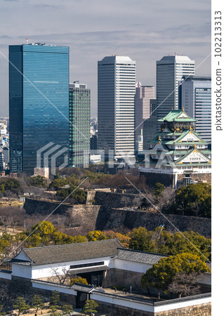 《大阪府》大阪城/城市風光 102213313