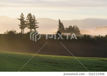 九月的美瑛晨霧山 102213498