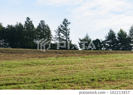 Scenery of Biei in September Scenery of Biei in September 102213857