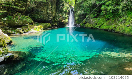 Nikobuchi (Niyodo Blue) Nikobuchi (Niyodo Blue) 102214055