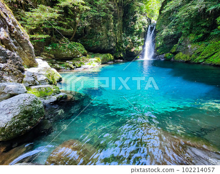 Nikobuchi (Niyodo Blue) 102214057