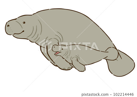 manatee family 102214446