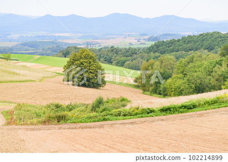 Scenery of Biei in September Scenery of Biei in September 102214899