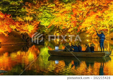 [Takamatsu City] Ritsurin Park Autumn Illumination [Autumn Leaves] 102215428
