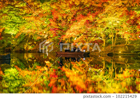 [Takamatsu City] Ritsurin Park Autumn Illumination [Autumn Leaves] 102215429