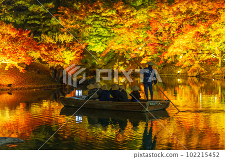 [高松市]栗林公園秋季燈飾[紅葉] 102215452