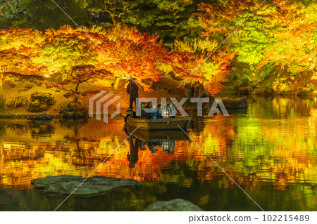 [Takamatsu City] Ritsurin Park Autumn Illumination [Autumn Leaves] 102215489