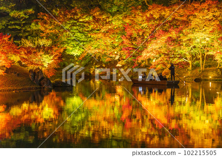 [Takamatsu City] Ritsurin Park Autumn Illumination [Autumn Leaves] 102215505