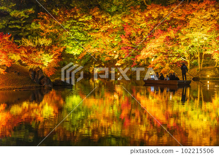 [高松市]栗林公園秋季燈飾[紅葉] 102215506