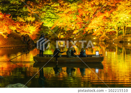 [Takamatsu City] Ritsurin Park Autumn Illumination [Autumn Leaves] 102215510