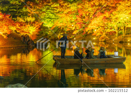 [Takamatsu City] Ritsurin Park Autumn Illumination [Autumn Leaves] 102215512