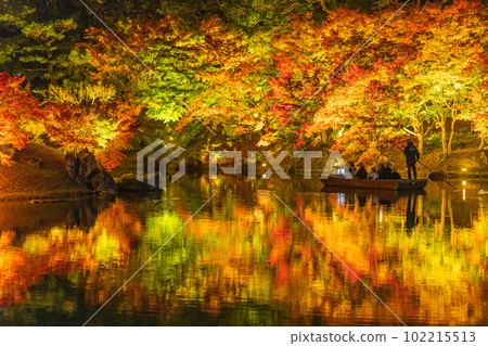 [Takamatsu City] Ritsurin Park Autumn Illumination [Autumn Leaves] 102215513