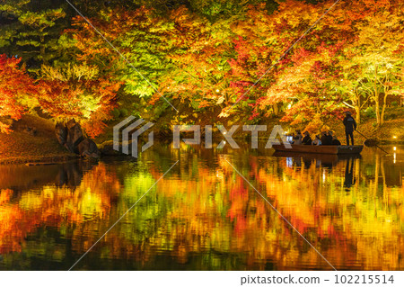 [Takamatsu City] Ritsurin Park Autumn Illumination [Autumn Leaves] 102215514