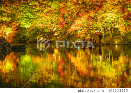 [Takamatsu City] Ritsurin Park Autumn Illumination [Autumn Leaves] 102215515