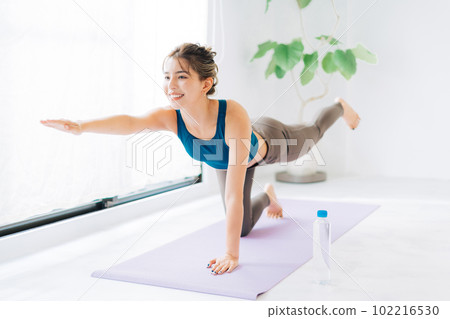 young woman fitness image 102216530