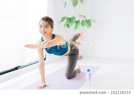 young woman fitness image 102216531