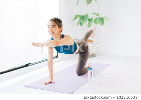 young woman fitness image 102216532