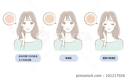 Illustration set of a young woman whose skin texture is dry / moist Illustration set of a young woman whose skin texture is dry / moist 102217026