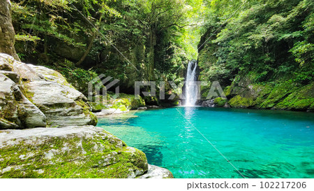 Nikobuchi（仁淀藍） 102217206