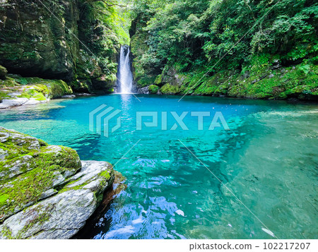 Nikobuchi（仁淀藍） 102217207