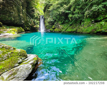 Nikobuchi（仁淀藍） 102217208