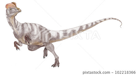 Dilophosaurus A carnivorous dinosaur that reigned at the top of the food chain during the early Jurassic period, misunderstood by movies 102218366