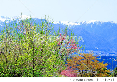 Central Alps in May Central Alps from Inadani Central Alps in May Central Alps from Inadani 102219651