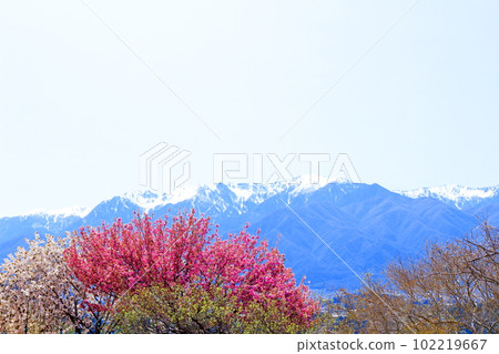 五月的中央阿爾卑斯山 從 Inadani 出發的中央阿爾卑斯山 102219667