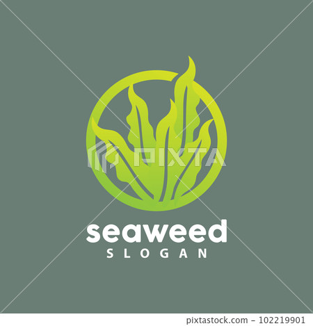 Seaweed Logo, Underwater Plant Vector, Simple Leaf Design, Illustration Template Symbol Icon Seaweed Logo, Underwater Plant Vector, Simple Leaf Design, Illustration Template Symbol Icon 102219901