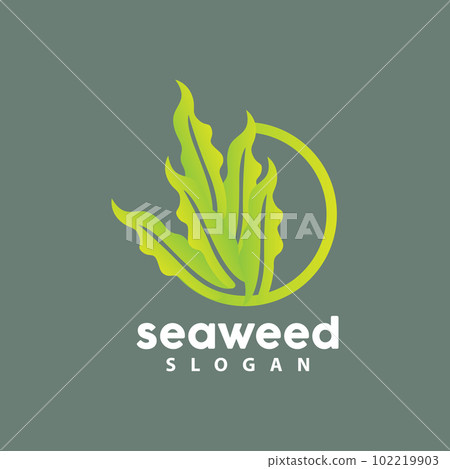 Seaweed Logo, Underwater Plant Vector, Simple Leaf Design, Illustration Template Symbol Icon 102219903