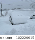 Cars buried in snow in Tsugaike, Hakuba village, Nagano prefecture 102220015