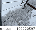 Tsugaike after the snowfall, Hakuba Village, Nagano Prefecture 102220597