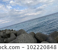 Coastal scenery during a trip to Izu, Shizuoka Prefecture 102220848