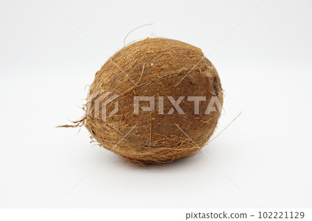 Coconut on white background Coconut on white background 102221129