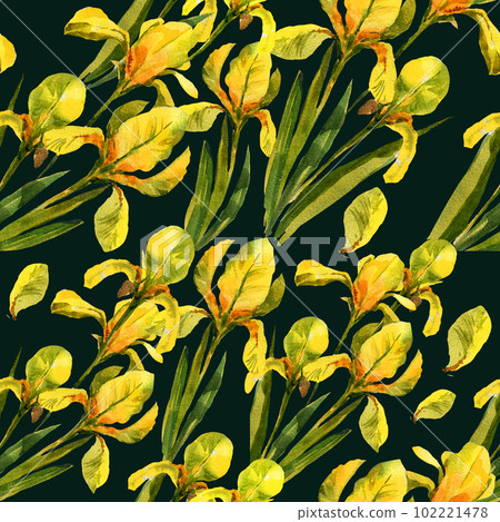 watercolor, flower, bloom 102221478