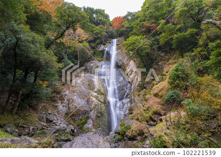 Fall foliage season A famous 70-meter-high waterfall that spreads out into the valley (Gokanosho Sendan Todoroki Falls) [Izumi-cho, Yatsushiro City, Kumamoto Prefecture] 102221539