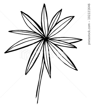 hand draw sketch wildflowers lupinus leaves, flowers, parts of the plant hand draw sketch wildflowers lupinus leaves, flowers, parts of the plant 102221646