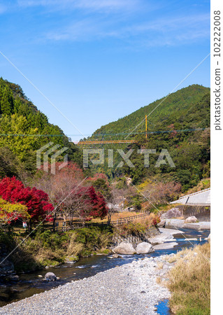 倒映在紅葉中的五賀之所 前往仙丹瀑布的途中的紅葉景色（八代市和泉町） 102222008