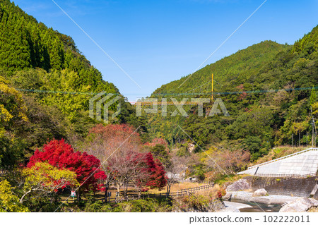 倒映在紅葉中的五賀之所 前往仙丹瀑布的途中的紅葉景色（八代市和泉町） 102222011