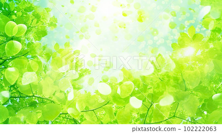 Illustration background of beautiful sunlight filtering through trees "AI-generated image" 102222063