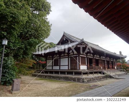 遊覽古都奈良藥師寺 遊覽古都奈良藥師寺 102222249