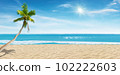 Palm leaves and Sand beach with blurred seascape view in summer seasonal. 102222603