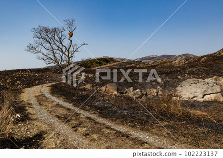 福岡縣北九州市燒田後的平尾台 102223137